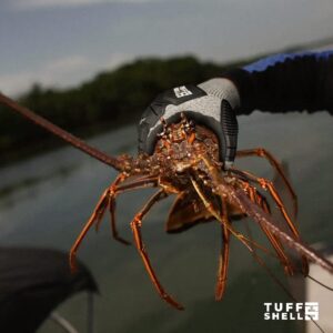 Traje de Neopreno​